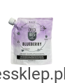 Blueberry_1.PNG