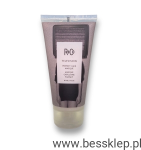 R+Co TELEVISION Perfect Hair Masque - Maska dla idealnych włosów